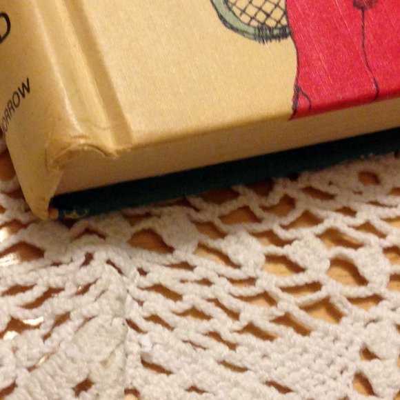 Vintage book decor, The Indians On The Bonnet - Picture 6 of 7